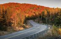 留学新西兰梅西大学介绍