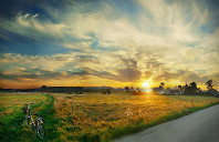 留学新西兰商科介绍