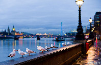 留学新西兰的住宿方式介绍