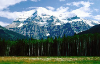 新西兰留学奥克兰有哪五大学部？（上）