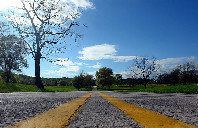 留学新西兰奥克兰大学如何？