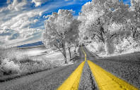 雅思成绩不够怎么去新西兰留学？