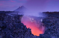 留学加拿大麦吉尔大学学费介绍