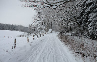 加拿大留学个大学费用详情(上)