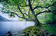 英国留学优势盘点