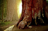 英国留学杜伦大学院校介绍