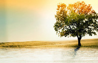 英国留学格拉斯哥大学院校介绍