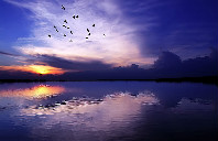 英国留学牛津布鲁克斯大学如何?