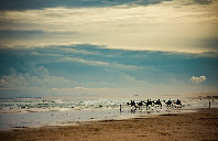 美国留学10大热门专业盘点（下）