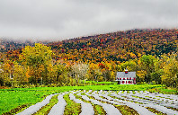 美国留学加州大学伯克利分校最难课程介绍（下）