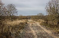 美国总统就读大学盘点（上）