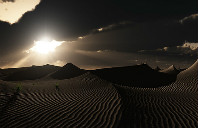 美国留学热门专业——会计