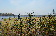 美国留学商科专业推荐