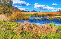 美国留学商科常见问题解答（下）