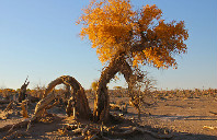 美国留学建筑专业介绍（上）