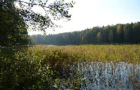 美国留学纽约地区有哪些著名大学？（上）