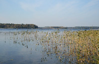 美国留学热门工商科专业