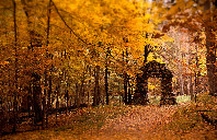 澳洲留学硕士有哪些推荐的热门专业？