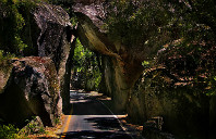 澳洲留学墨尔本大学——信息技术