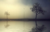 澳洲留学21年热门专业介绍