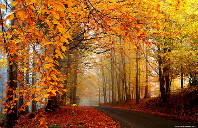 澳洲留学热门专业介绍