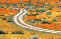 澳洲留学阿德莱德大学优秀专业介绍（上）