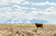 留学澳洲国立大学优秀专业介绍（下）