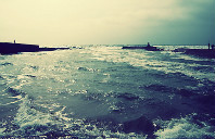 澳洲留学热门院校&专业介绍（下）