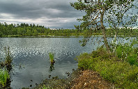 澳洲留学科延大学优势专业介绍（上）
