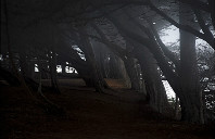 澳洲留学都有哪些好专业（下）