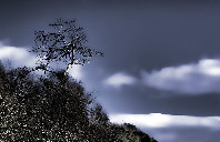 澳洲留学翻译专业学校推荐