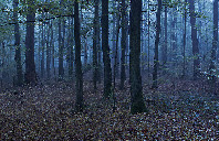 新西兰留学法律专业介绍