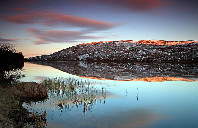 新西兰留学最赚钱的专业介绍