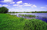 新西兰留学需要多少费用？