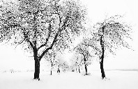 新西兰留学各阶段费用解读