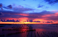 新西兰留学奥塔哥大学优势专业介绍（上）