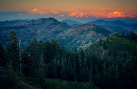 新西兰留学商科专业院校介绍（下）