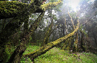 新西兰留学护理专业院校推荐