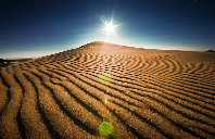 新西兰留学突出专业介绍（上）