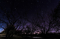 新西兰留学突出专业介绍（下）