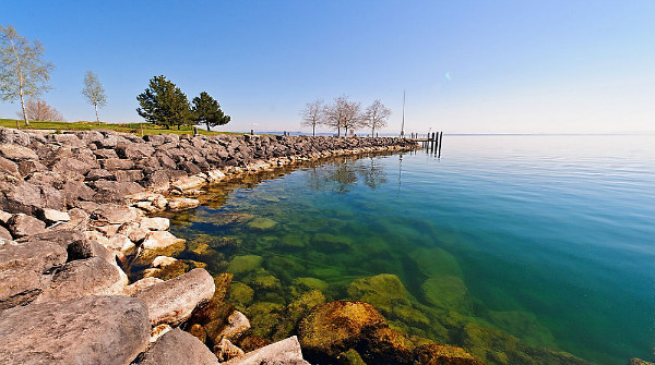 新西兰留学护理专业前景介绍