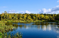 新西兰留学信息技术专业就业前景介绍