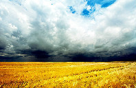 英国留学择校解读