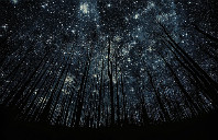 英国留学ACCA可免考9门的院校介绍