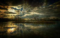 英国留学人力资源管理专业介绍(下)