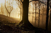 英国留学物流管理专业有哪些优秀院校?