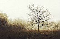 英国留学产品设计专业介绍（下）