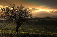 英国留学游戏相关专业有哪些可选院校？