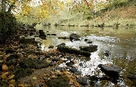 美国留学康涅狄格大学专业介绍（上）