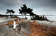 美国留学STEM专业介绍